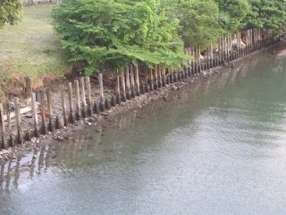 c-saku[1]