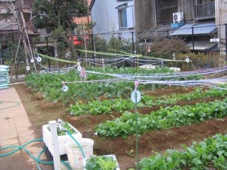 en-11gatsu[1]